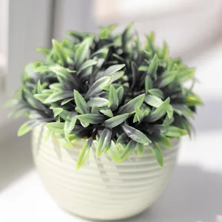 Chic - Center - Great Location - Swidnicka Street Appartement